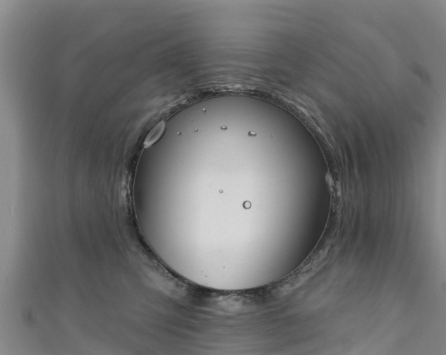 X0000111180423200907081239