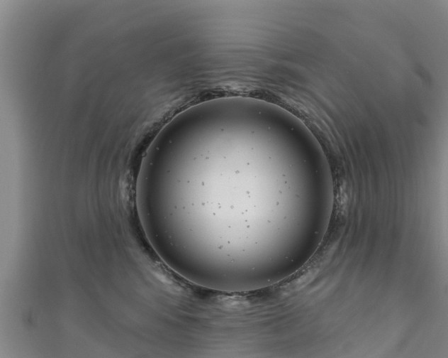 X0000111180424200907081239