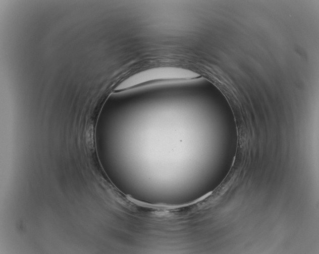 X0000111180425200907081239