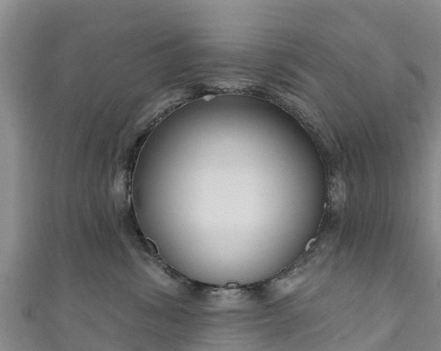 X0000111180428200907081239