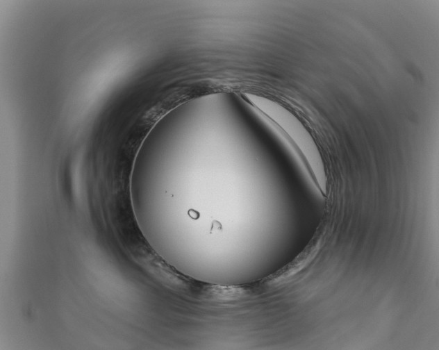 X0000111180429200907081239