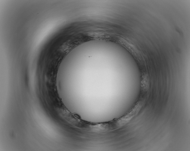 X0000111180430200907081239