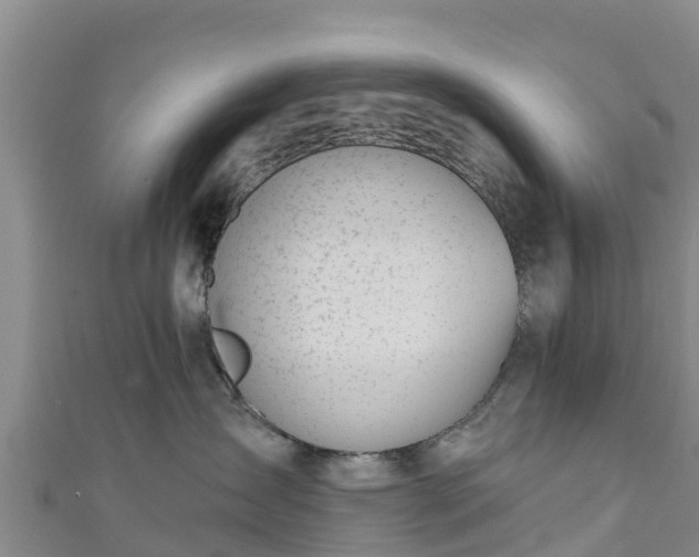 X0000111180431200907081239