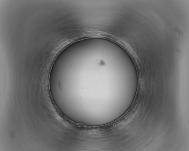 X0000111180433200907081238