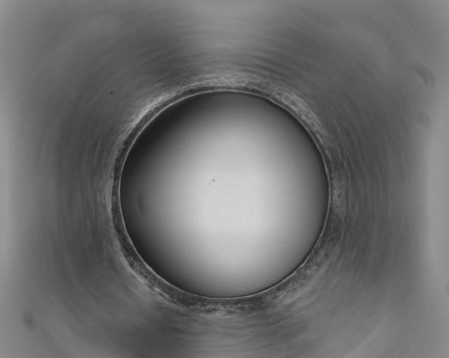 X0000111180434200907081238