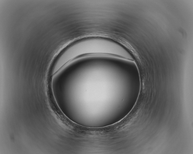 X0000111180436200907081238