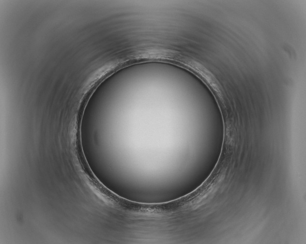 X0000111180437200907081238