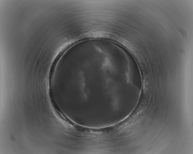 X0000111180438200907081238