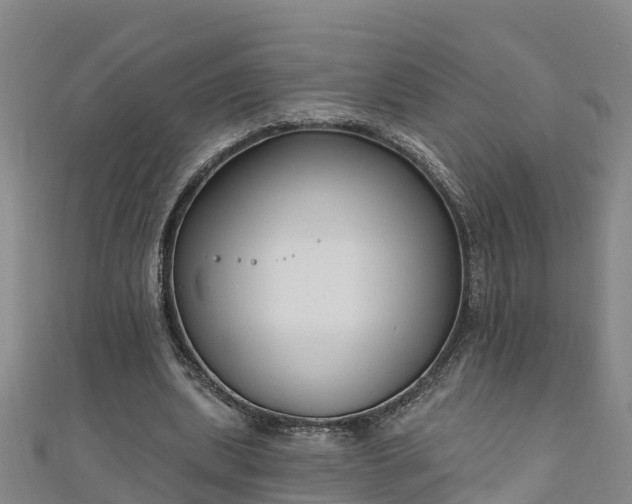 X0000111180439200907081238