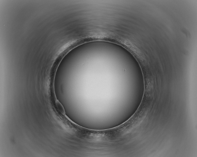 X0000111180440200907081238