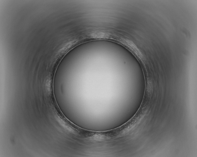 X0000111180441200907081238