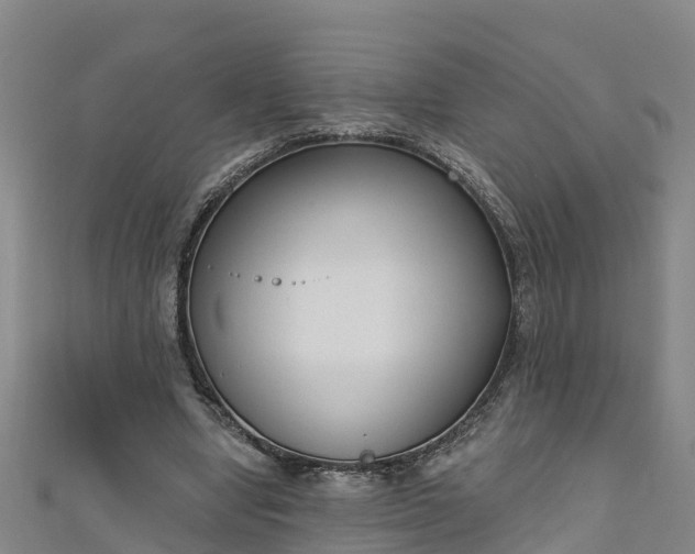 X0000111180442200907081238