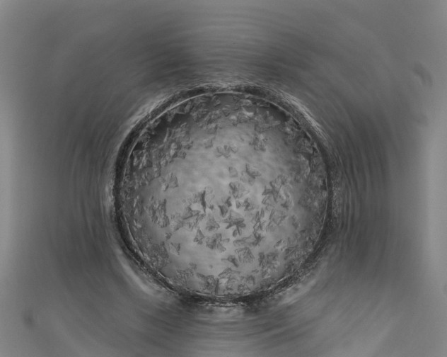 X0000111180443200907081238