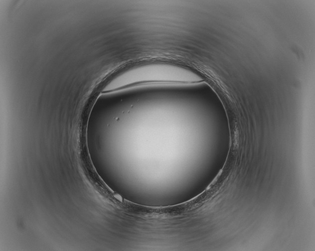 X0000111180444200907081238