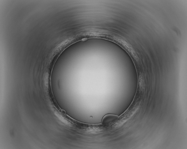 X0000111180445200907081239