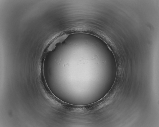 X0000111180446200907081239