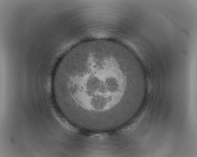 X0000111180447200907081239