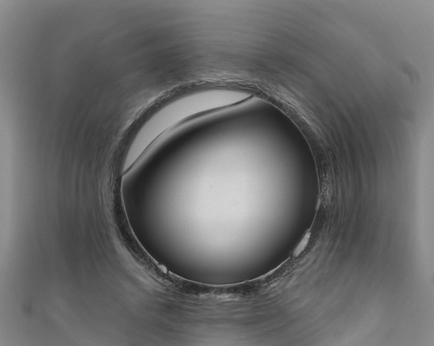 X0000111180448200907081239