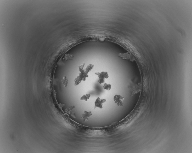 X0000111180449200907081239