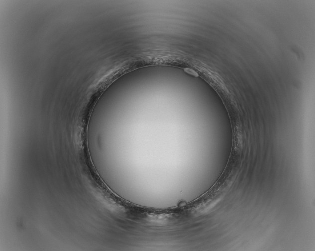 X0000111180450200907081239