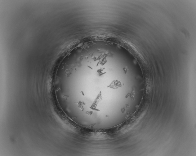X0000111180451200907081239