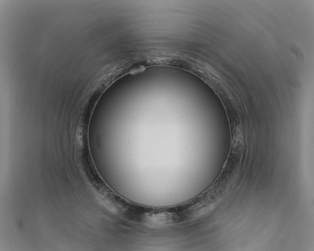 X0000111180452200907081239