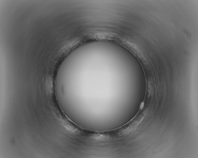 X0000111180453200907081239