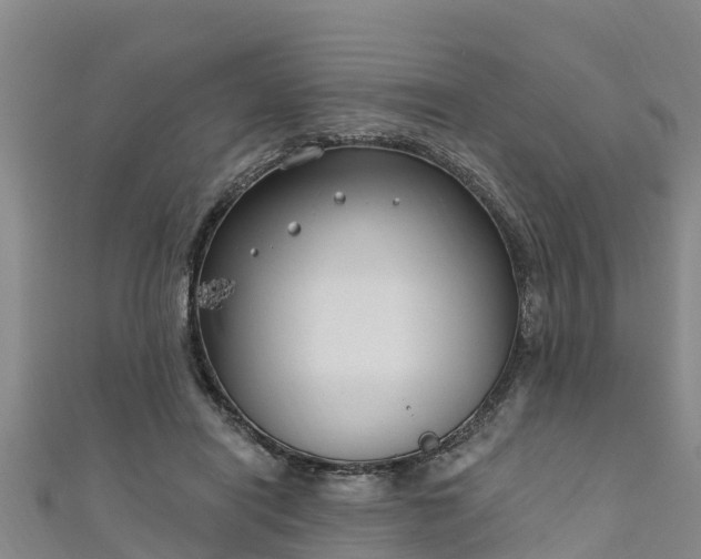 X0000111180454200907081239