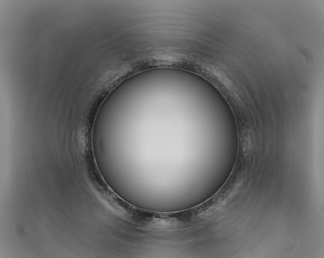 X0000111180455200907081239