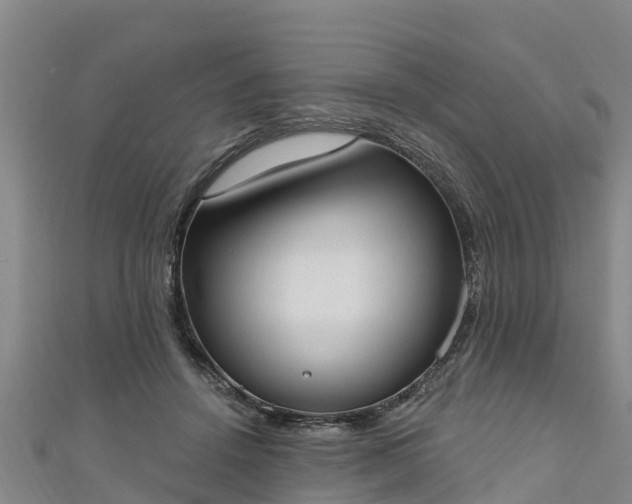 X0000111180456200907081239