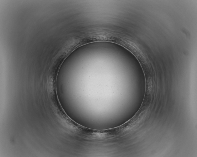 X0000111180457200907081239