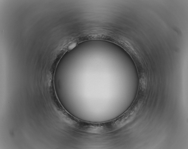 X0000111180458200907081239