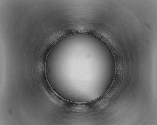 X0000111180459200907081239