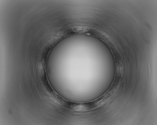 X0000111180460200907081239