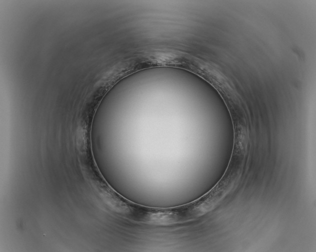 X0000111180461200907081239