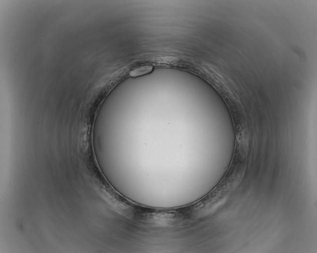 X0000111180462200907081239