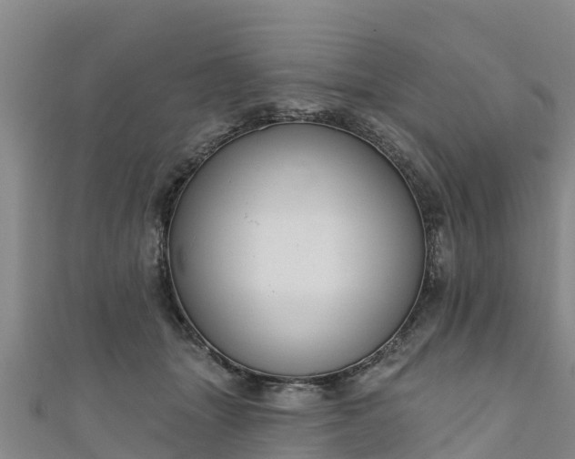 X0000111180463200907081239