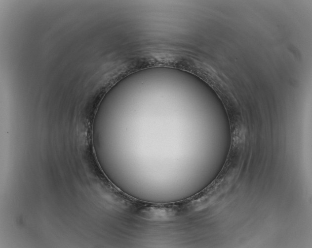 X0000111180464200907081239