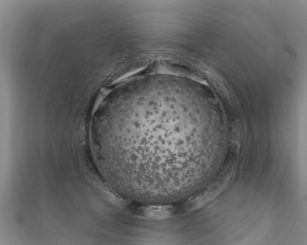 X0000111180465200907081239