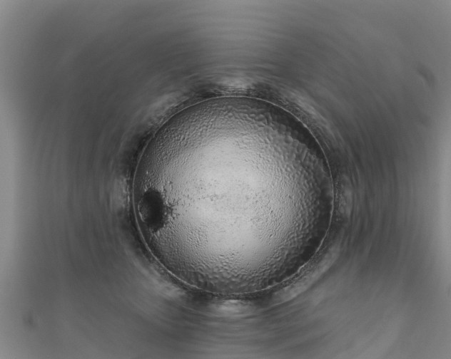 X0000111180467200907081239