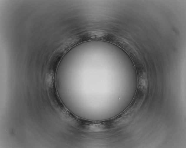 X0000111180468200907081239