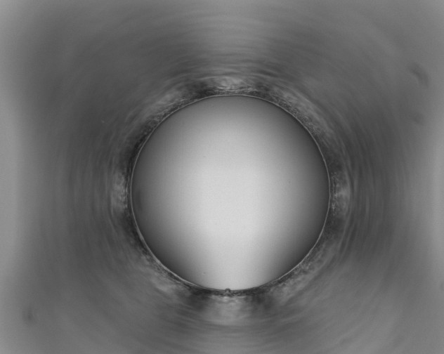 X0000111180469200907081239