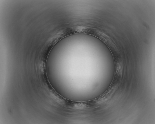 X0000111180470200907081239