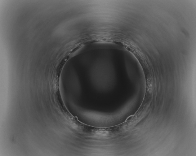 X0000111180471200907081239