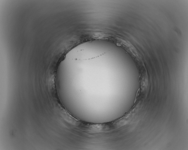 X0000111180473200907081239