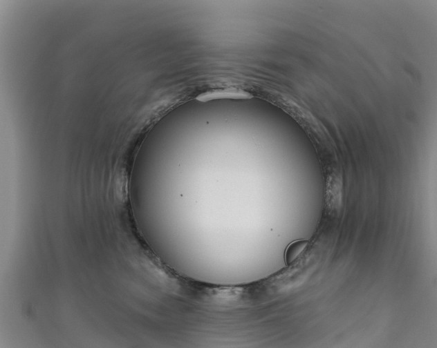 X0000111180474200907081239