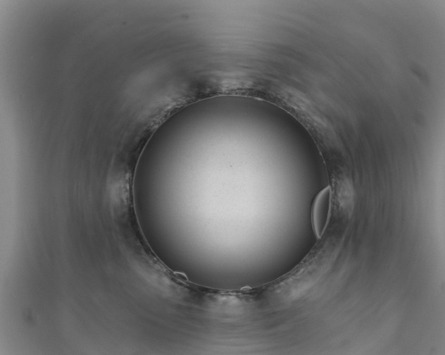 X0000111180475200907081239