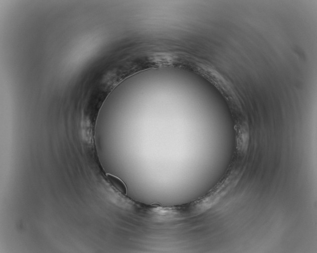 X0000111180477200907081239