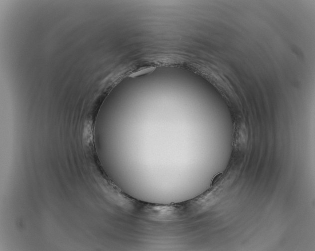 X0000111180478200907081239