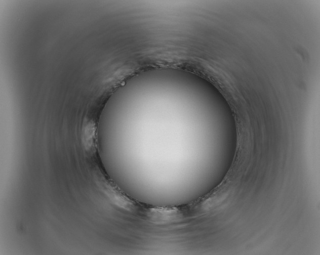 X0000111180480200907081239